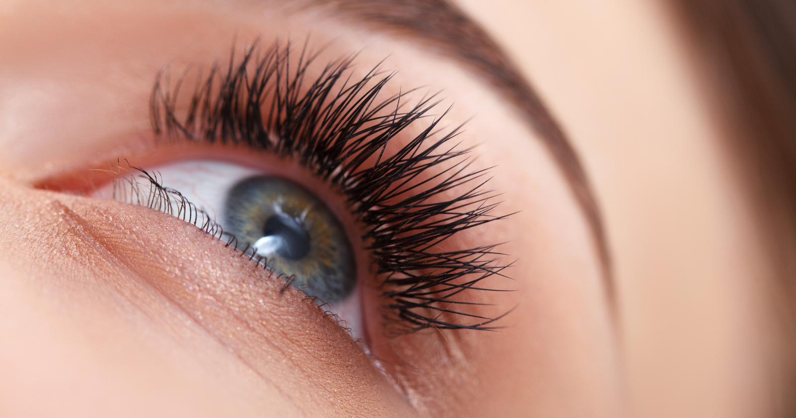 Dazzling Lash + Beauty Bar  Best Place For Eyelash Extensions