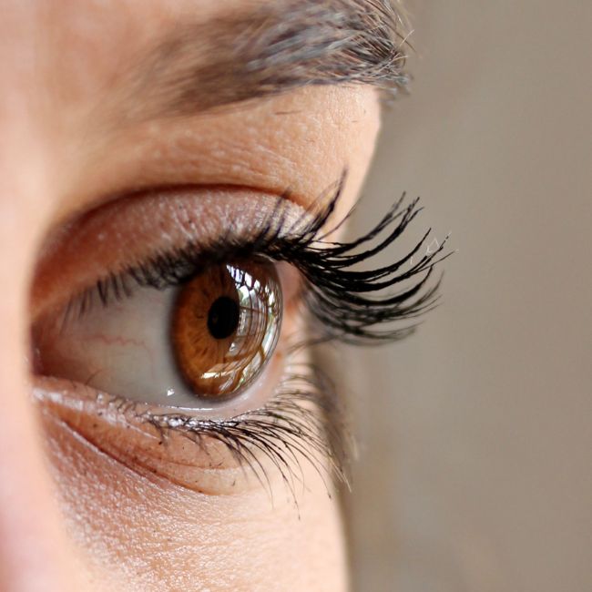 classic lash extensions roswell