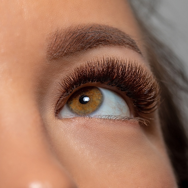 Lash and Brow Studio Roswell