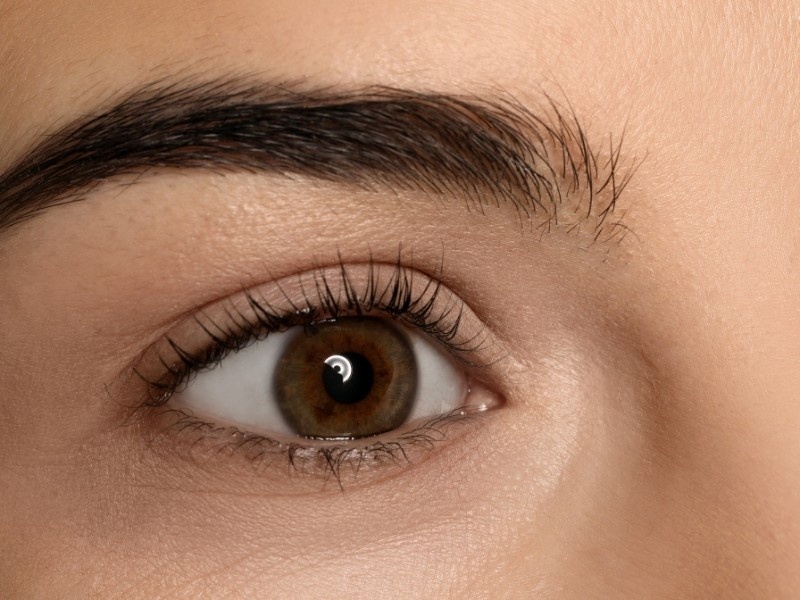 Walk-In Lash Lift Services Near Me in Sandy Springs